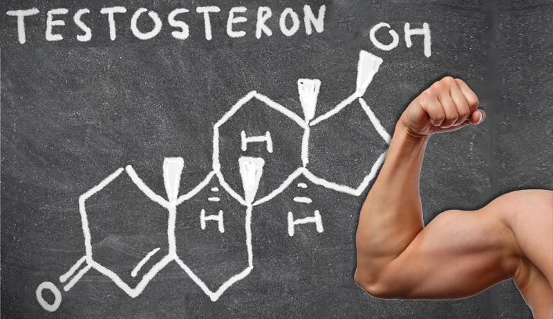 Тестостерон у мужчин